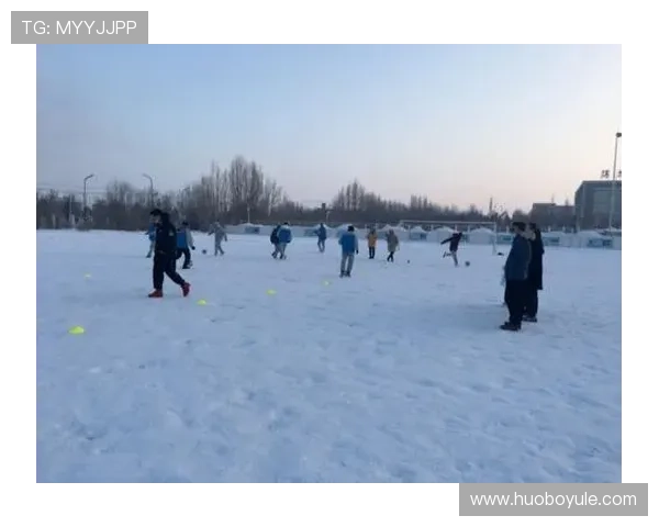 博乐体育平台介绍：如何选择最适合你的体育娱乐平台与使用技巧